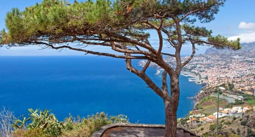 Villa Gasparini Palheiro Village By Holiday Rental Madeira Funchal